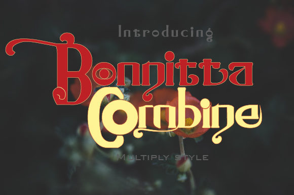 Transform Your Brand with Bonnitta Combine Font